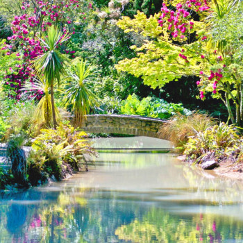 Christchurch_Botanic_Garden1