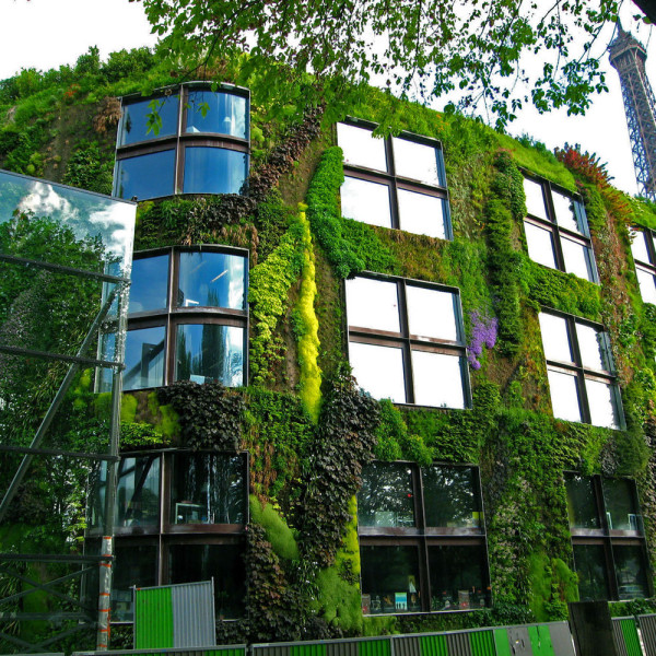 musee-du-quai-branly