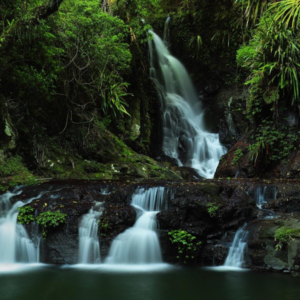 lamington-national-park