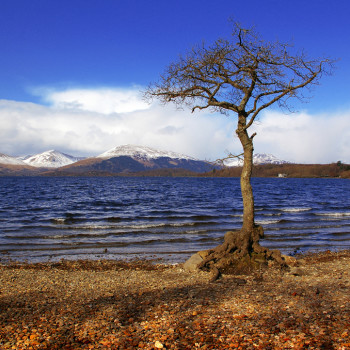 Loch-Lomond