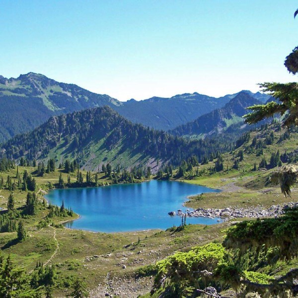 olympic national park, summer 2005