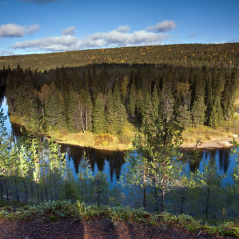 Parque Nacional Oulanka